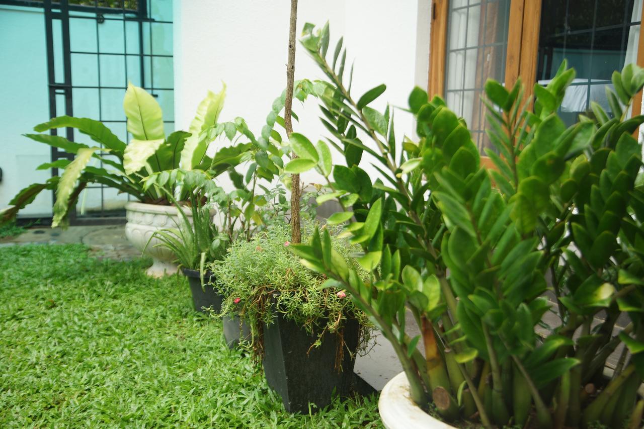 Nelinsa Residence Kandy Exterior foto